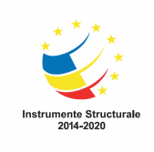 Instrumente Structurale